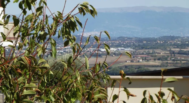 Апартаменты Casa Vacanza Agilla Trasimeno
