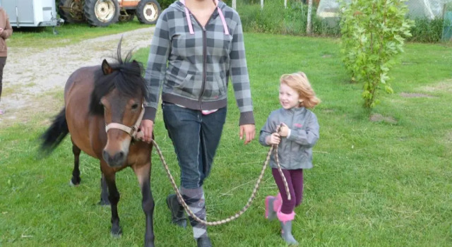 Коттедж с 2 комнатами Gîte et Relais Equestre de Marie