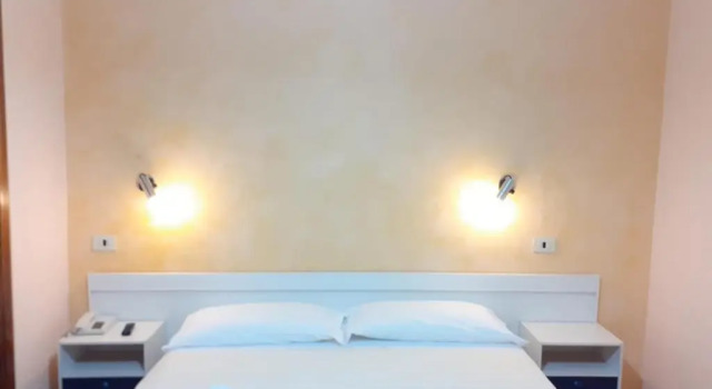Standard- værelse Hotel Fleming