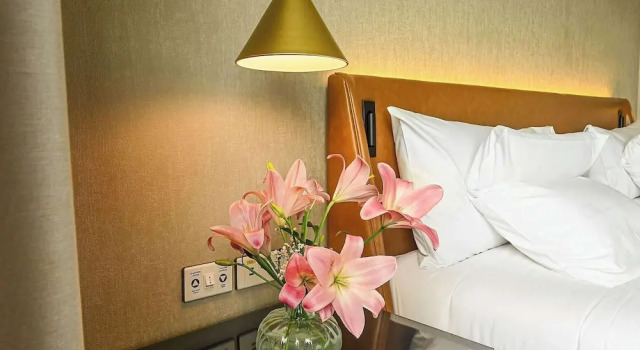 Двухместный номер Executive Novotel Santa Cruz De La Sierra