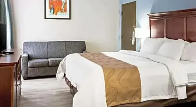 Люкс Standard Farragut Inn & Suites