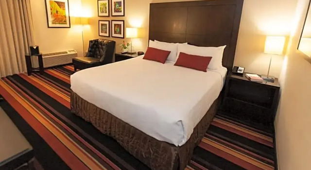 Номер Standard Wyndham New Orleans Airport & Conference Center