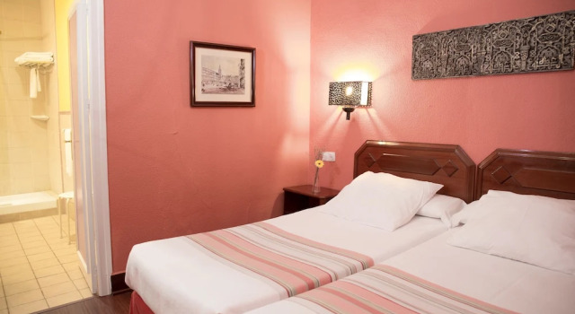 Одноместный номер Hotel Abanico Casa Palacio