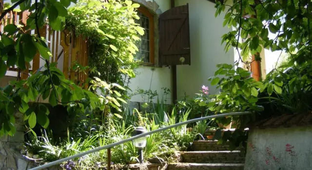 Panka House, Prenota Hotel Hotel a Western Transdanubia con piscina, Piscina