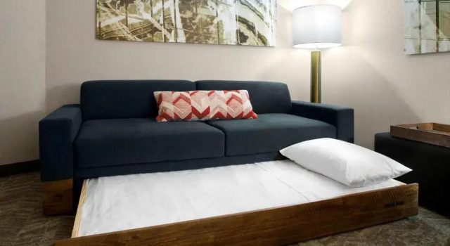 Люкс SpringHill Suites by Marriott Kansas City Lenexa/City Center