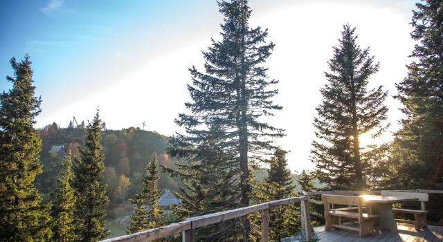 Шале Luxury Koča Bistra - Velika planina