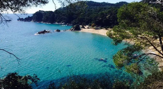 Апартаменты Appartements Les Pesquiers Hyères Plage