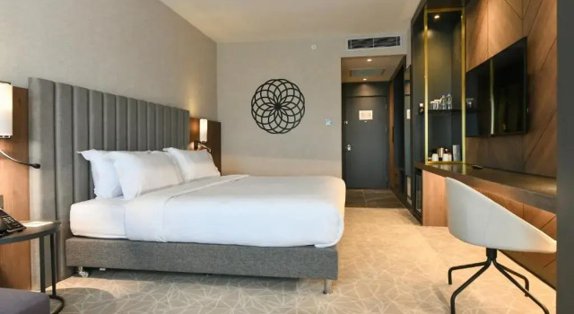 Двухместный номер Standard Crowne Plaza Ankara by IHG