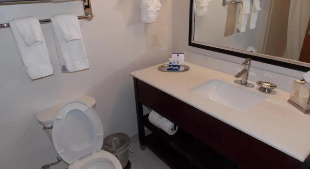Standard- værelse Spring Inn & Suites
