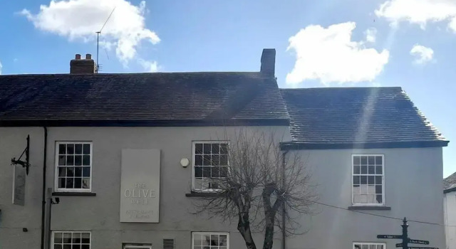 The Olive Well