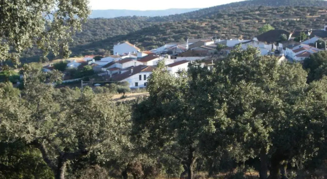Коттедж Vivienda Turística Alojamiento Rural EL Trillo