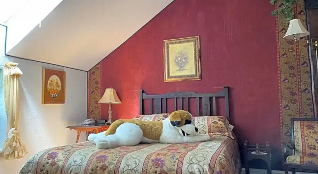 Номер Superior Marshlands Inn