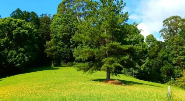 Riverbend Byron Hinterland Retreat, Забронировать Дом для отпуска Биллинаджел 