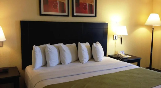 Двухместный люкс Business c 1 комнатой SureStay by Best Western Irving Grapevine DFW North