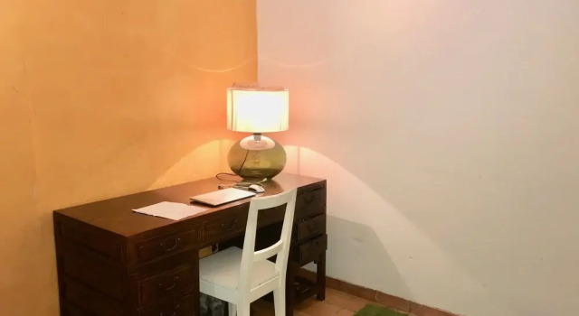 Les Mimosas