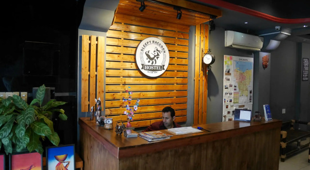 Sleepy Raccoon Hostel