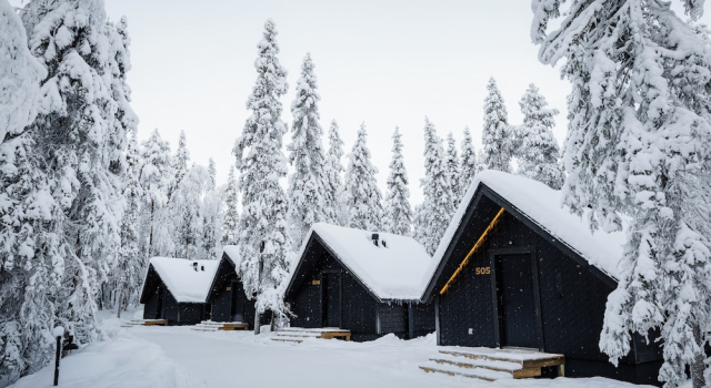 Двухместный номер Standard Vaattunki Wilderness Resort
