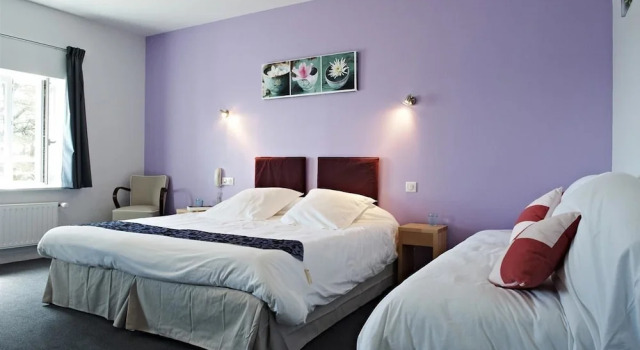 Номер Deluxe Logis Hotel Belle-Vue
