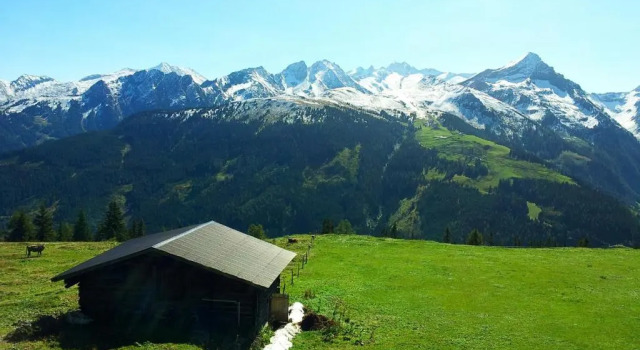 Номер Standard alpenrose hotel-garni