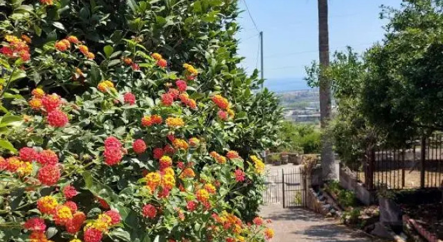 CASA DELLE PALME GIARRE SICILIA A 3 KM DAL MARE, Book Hotel Hotels in Sicily with Parking, Parking