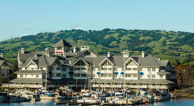Номер Standard Sheraton Sonoma Wine Country Petaluma