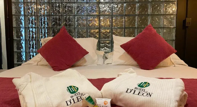 Полулюкс Hotel D Leon