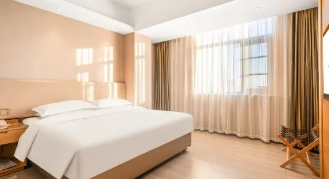 Двухместный люкс Deluxe Vienna International Hotel (Beijing Tiantan Hospital Huaxiang Dongqiao Subway Station Store)