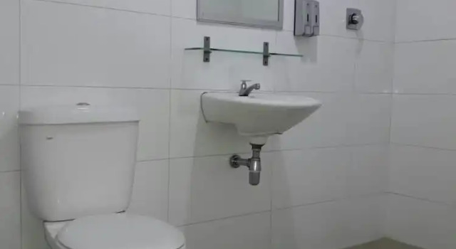 Номер Deluxe Green Hotel