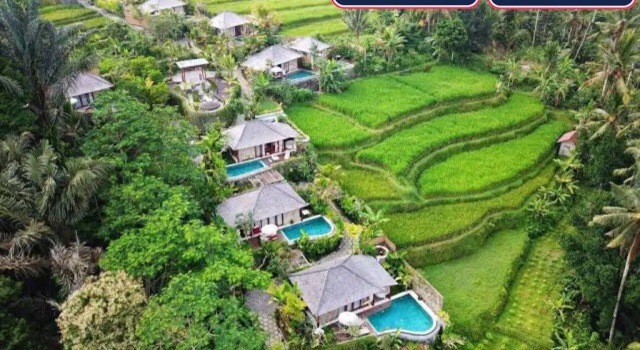 Вилла Nau Villa Ubud