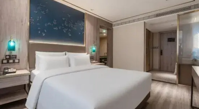 Люкс JuYi Hotel (Hangzhou Xixi Future Science and Technology City)