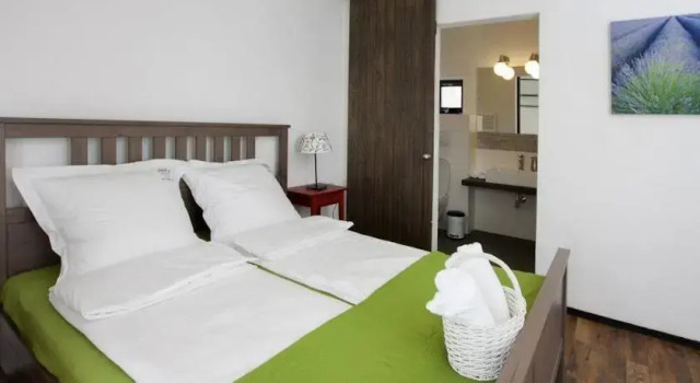 Pensiune Casa Barolo, Book Hotel Hotels in Cluj with a Pool, Swimming Pool