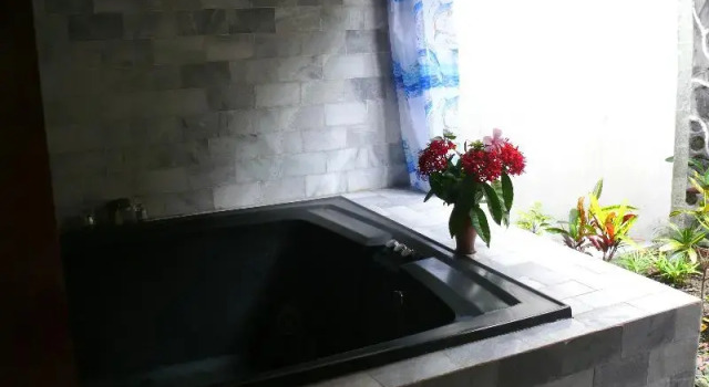 Люкс Standard Puri Bunga Beach Cottages