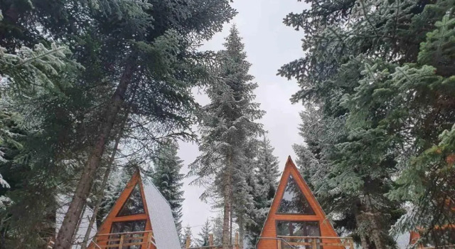 Шале c 1 комнатой Bude Mestia cottages