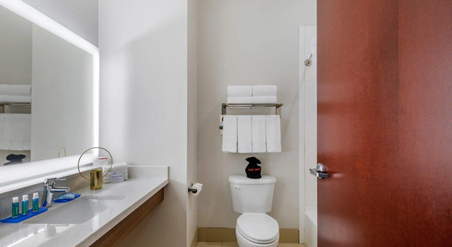 Двухместный номер Standard Holiday Inn Express Houston-Alvin by IHG