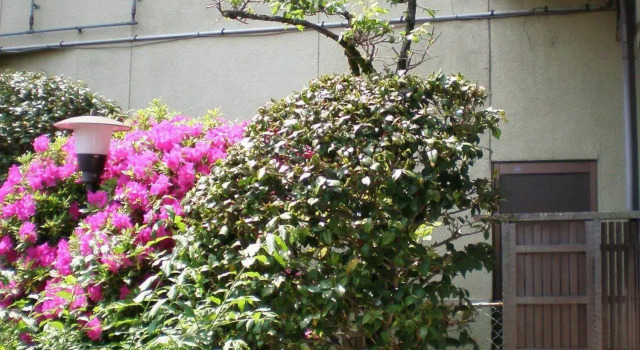 Uetoh Ryokan