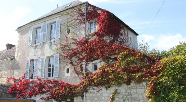 MAISON LA ROCHE-POSAY, 2 PIèCES, 3 PERSONNES - FR-1-541-52