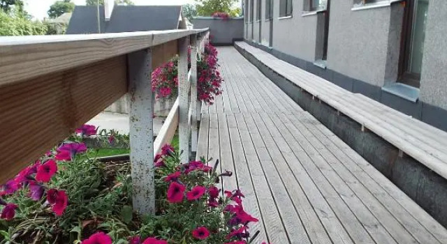 Двухместный номер Standard Tamme staadioni hostel