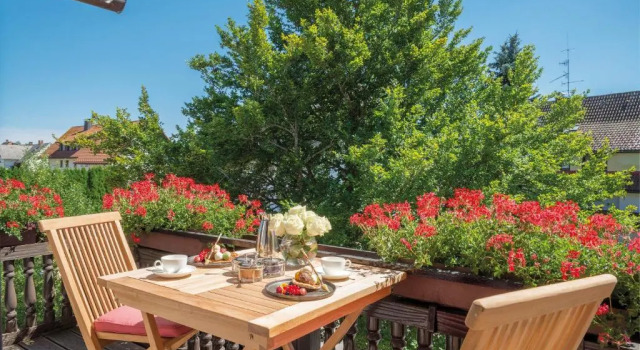 Полулюкс Classic ADLER HÄUSERN Gourmet & Spa Hotel
