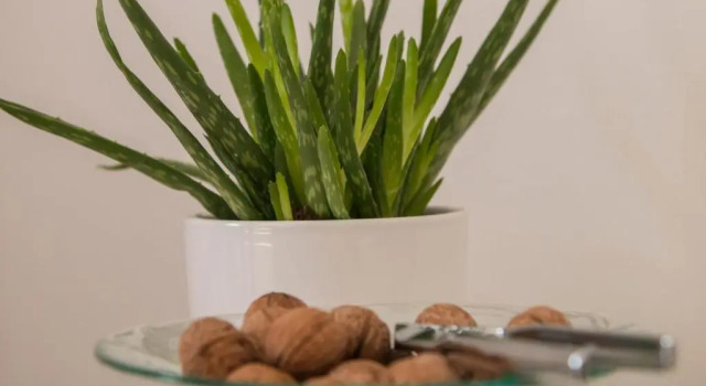 Apartment Padrenostro Zadar, Забронировать Апартаменты/квартира Апартаменты Задар, рядом с Пляж Мали Милни, Апартаменты/квартира