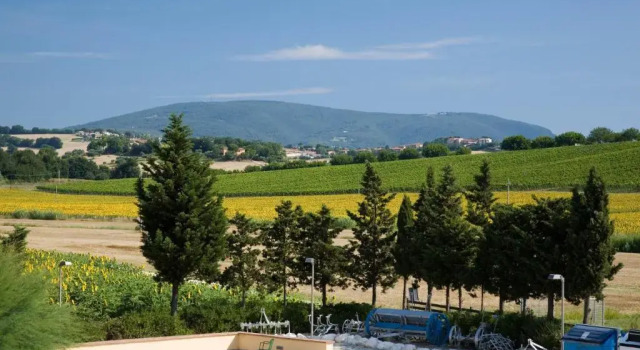 Одноместный номер Standard Le Fiabe Hotel Resort
