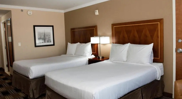 Четырёхместный номер Standard Hotel Executive Suites
