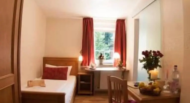 Одноместный номер Economy Ringhotel Lutherhotel Eisenacher Hof