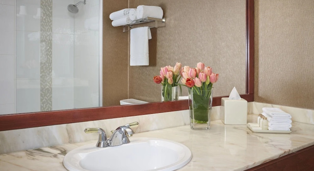Двухместный люкс Varscona Hotel on Whyte