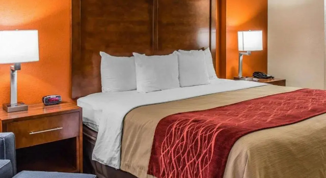 Номер Standard Comfort Inn & Suites Lakeland North I-4