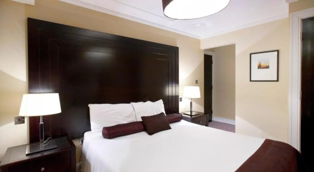 Одноместный номер Standard Shamrock Lodge Hotel