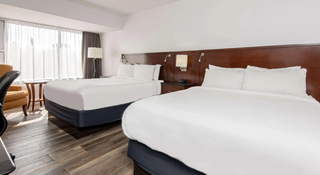 Четырёхместный номер Standard Strata Hotel
