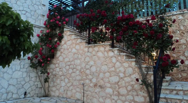 Вилла с 3 комнатами Villas Goudis