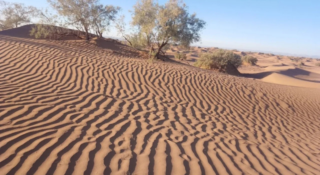 Atmospher Bivouac Desert