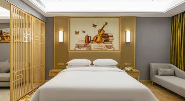 Люкс Business Vienna International Hotel (Hefei Binhu Provincial Government, Tangxihe Park Metro Station)