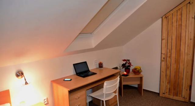 Camera singola Standard Wellness Vila Bohemia